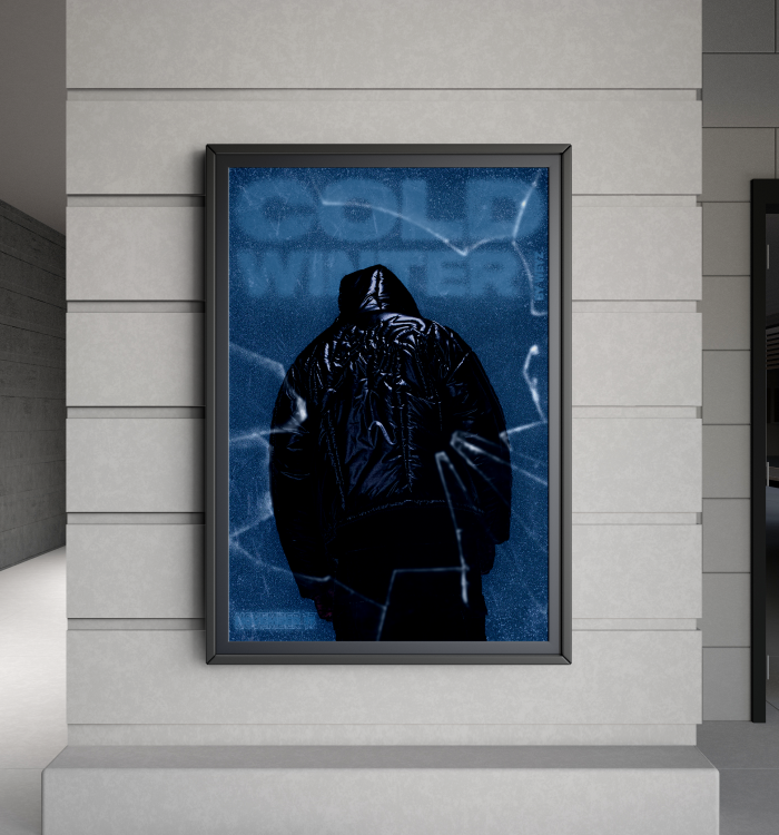 Affiche marque Weyz